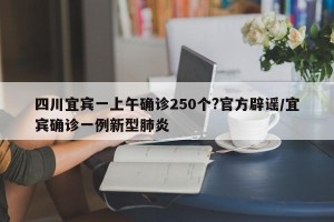 四川宜宾一上午确诊250个?官方辟谣/宜宾确诊一例新型肺炎