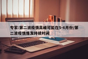 专家:第二波疫情高峰可能在5-6月份/第二波疫情爆发持续时间