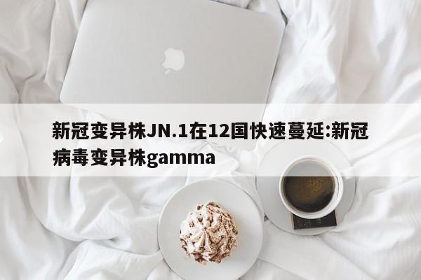 新冠变异株JN.1在12国快速蔓延:新冠病毒变异株gamma